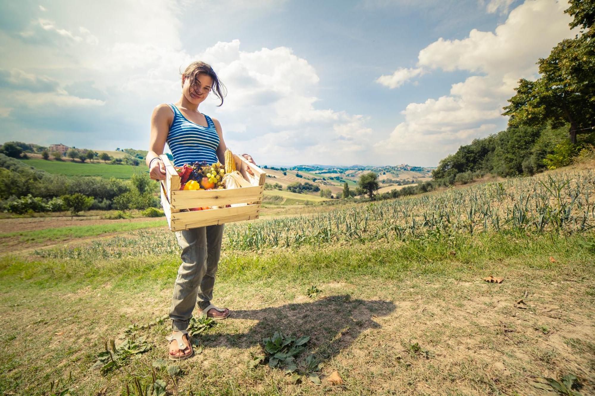Agriturismo Fonte Carella Monte San Pietrangeli Exteriér fotografie